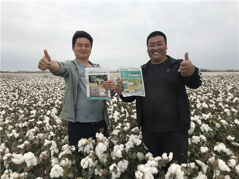 棉花，水溶肥，拉姆拉，翠姆