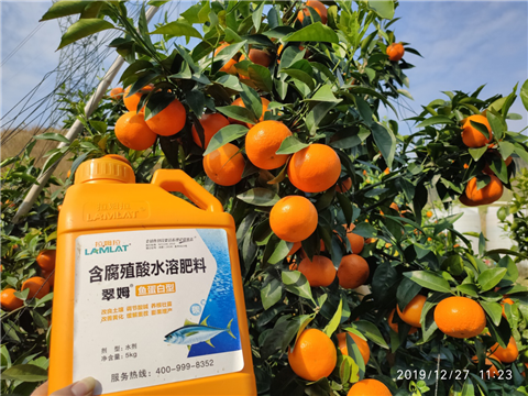 水溶肥，拉姆拉，翠姆