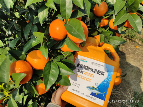 水溶肥，拉姆拉，翠姆