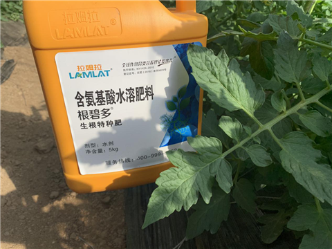 水溶肥，拉姆拉，翠姆