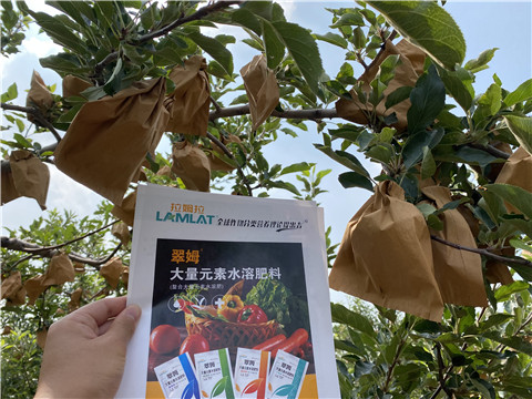 大量元素水溶肥，拉姆拉，翠姆