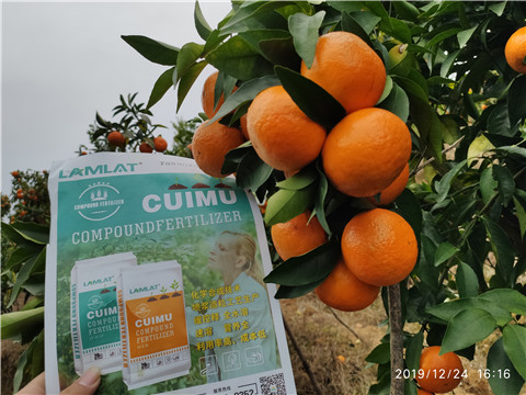 進口水溶肥，拉姆拉，翠姆