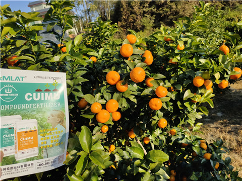 進口水溶肥，拉姆拉，翠姆