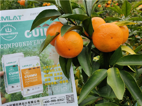 顆粒水溶肥，拉姆拉，翠姆