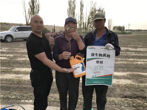 水溶肥，拉姆拉，翠姆