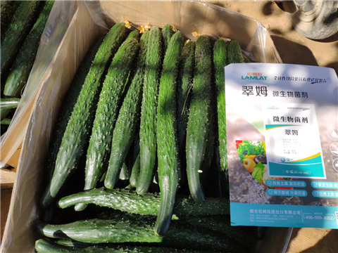 微生物菌劑，拉姆拉，翠姆