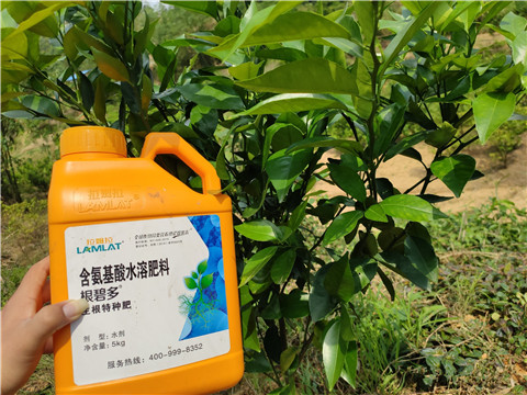 沖施肥，拉姆拉，翠姆