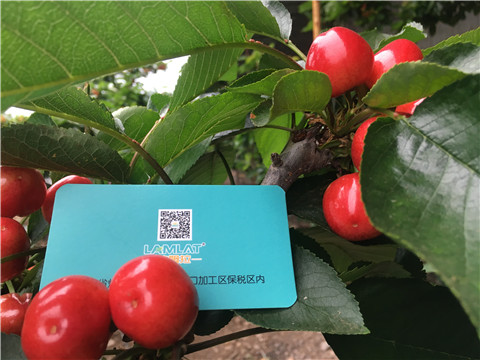 大量元素水溶肥，拉姆拉，翠姆