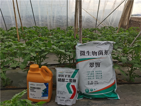 水溶肥，拉姆拉，翠姆