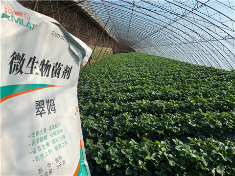 微生物菌劑，拉姆拉，翠姆