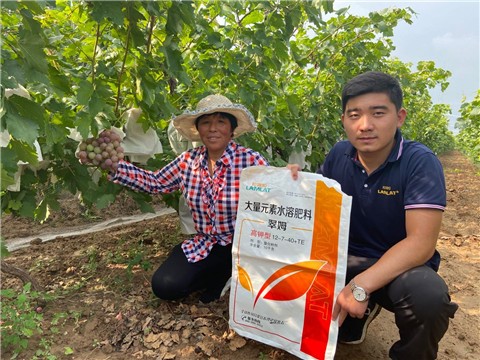 大量元素水溶肥，拉姆拉，翠姆