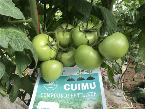 水溶肥，拉姆拉，翠姆