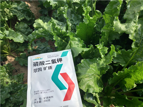 水溶肥，拉姆拉，翠姆