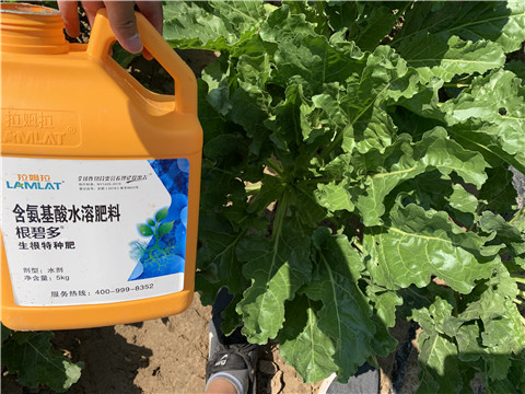 水溶肥，拉姆拉，翠姆