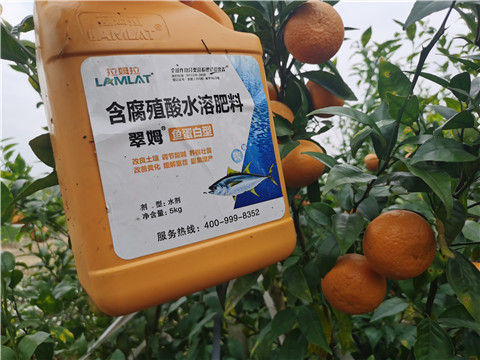 水溶肥，拉姆拉，翠姆