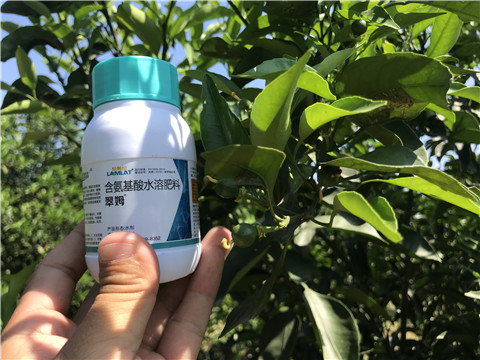 葉面肥，拉姆拉，翠姆