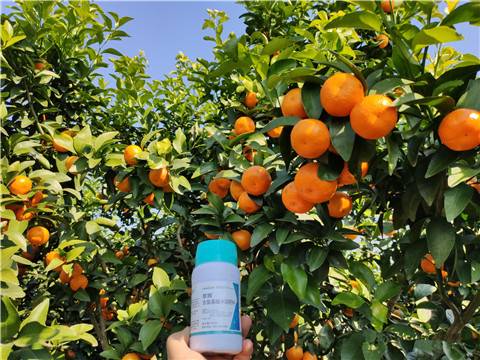 葉面肥，拉姆拉，翠姆