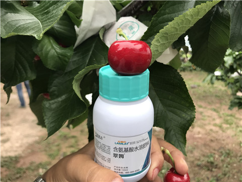 水溶肥，拉姆拉，翠姆