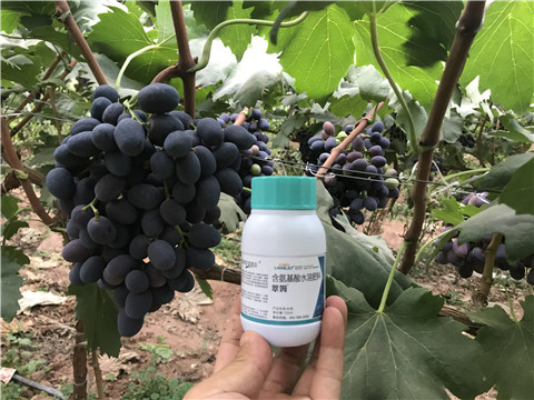 進(jìn)口水溶肥，拉姆拉，翠姆