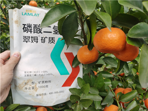 水溶肥，拉姆拉，翠姆