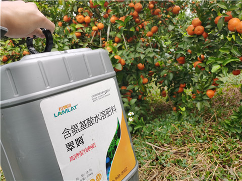 水溶肥，拉姆拉，翠姆