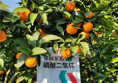 磷酸二氫鉀，拉姆拉，翠姆