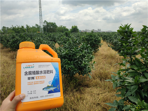 水溶肥，拉姆拉，翠姆