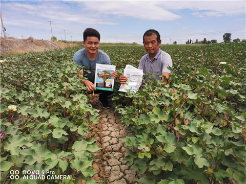 水溶肥，拉姆拉，翠姆