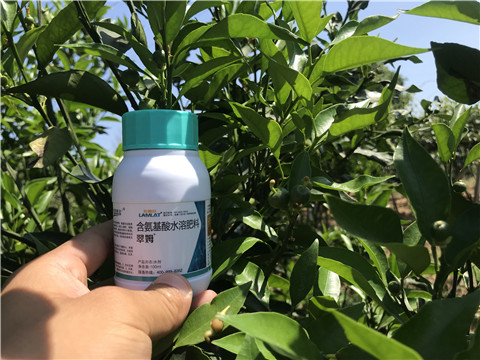 葉面肥，拉姆拉，翠姆