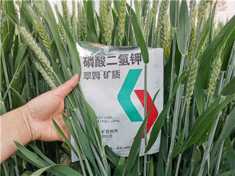 葉面肥，水溶肥，磷酸二氫鉀