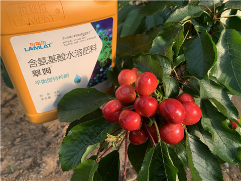 氨基酸水溶肥，拉姆拉，翠姆