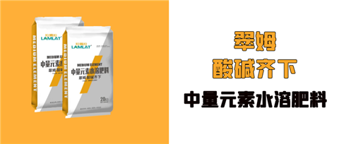 水溶肥，拉姆拉，翠姆