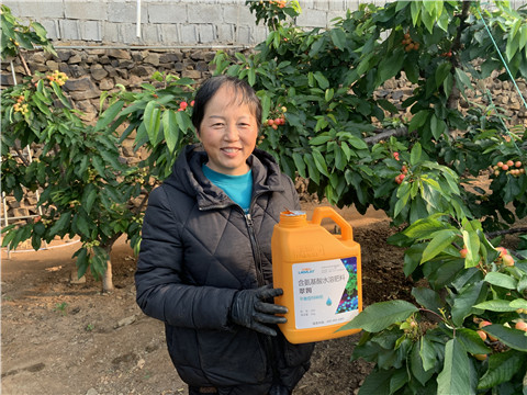 水溶肥，拉姆拉，翠姆