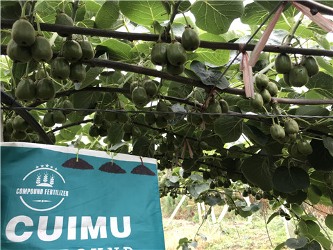 顆粒復(fù)合肥，拉姆拉，翠姆