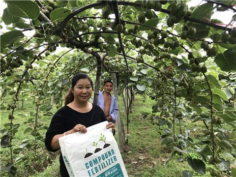 顆粒復(fù)合肥，拉姆拉，翠姆