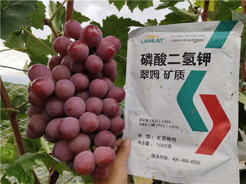 磷酸二氫鉀，拉姆拉，翠姆