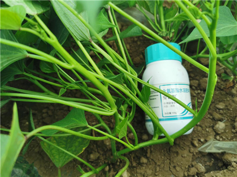 水溶肥，拉姆拉，翠姆