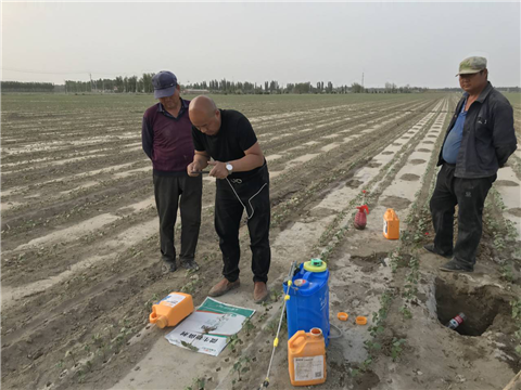 水溶肥，拉姆拉，翠姆