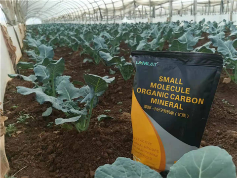 小分子有機碳，拉姆拉，翠姆