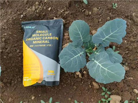 小分子有機碳，拉姆拉，翠姆