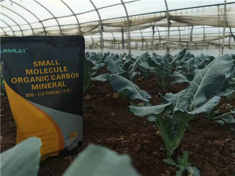 小分子有機碳，拉姆拉，翠姆