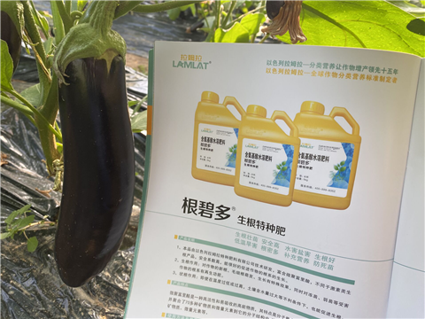 水溶肥，拉姆拉，翠姆