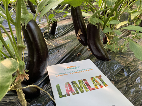 水溶肥，拉姆拉，翠姆