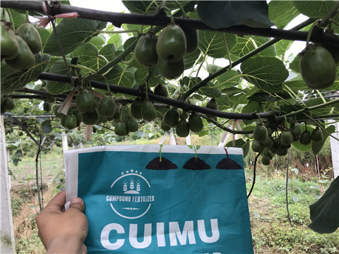 顆粒水溶肥，拉姆拉，翠姆