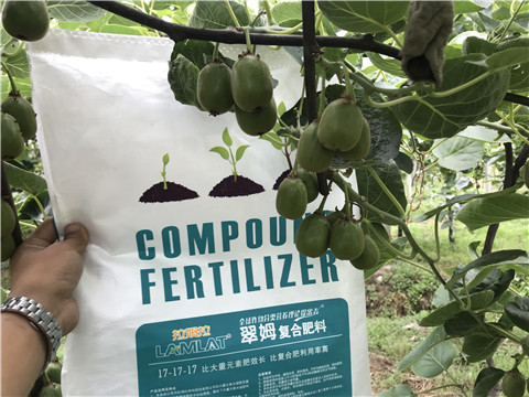 顆粒水溶肥，拉姆拉，翠姆