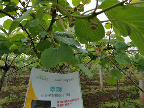 小分子有機(jī)碳，拉姆拉，翠姆