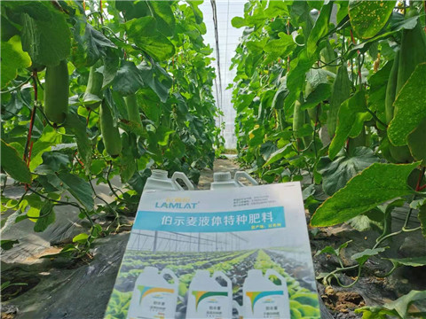 水溶肥，拉姆拉，翠姆