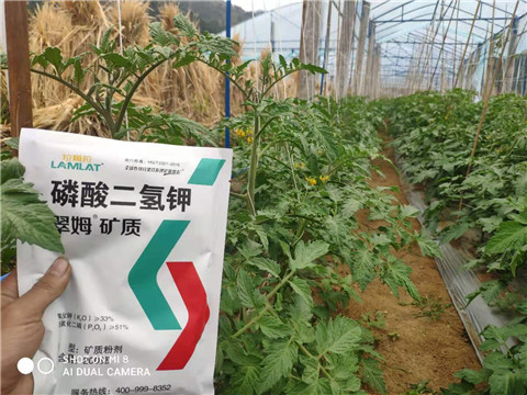 磷酸二氫鉀，拉姆拉，翠姆