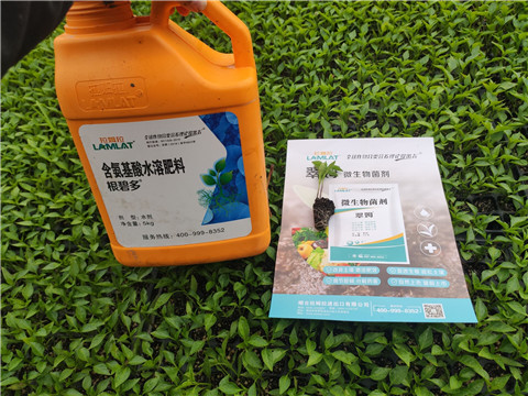 水溶肥，拉姆拉，翠姆