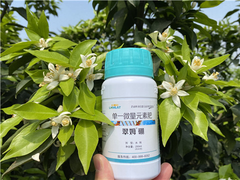 葉面肥，拉姆拉，翠姆